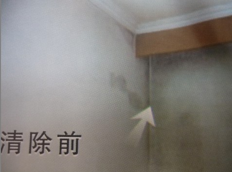 2010121922414790.jpg